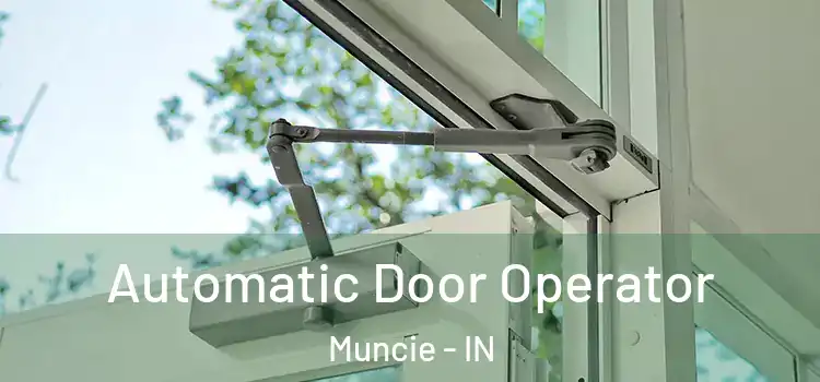Automatic Door Operator Muncie - IN