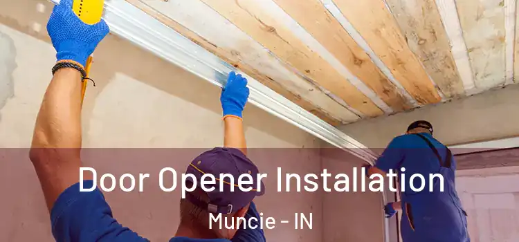  Door Opener Installation Muncie - IN