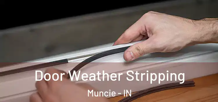  Door Weather Stripping Muncie - IN