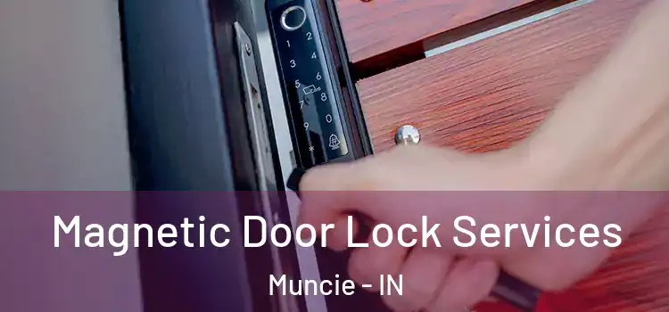  Magnetic Door Lock Services Muncie - IN